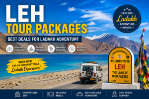 leh tour